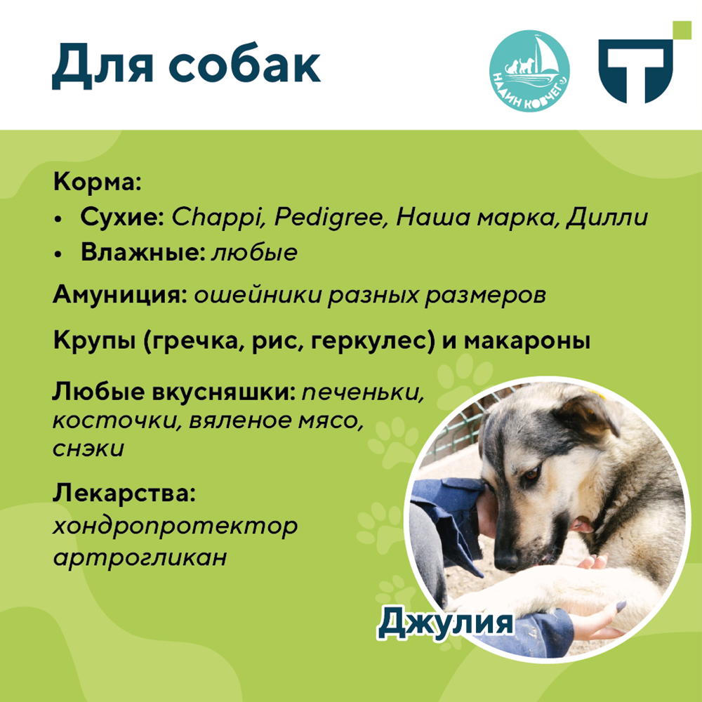 помощь приюту 2 (1).png