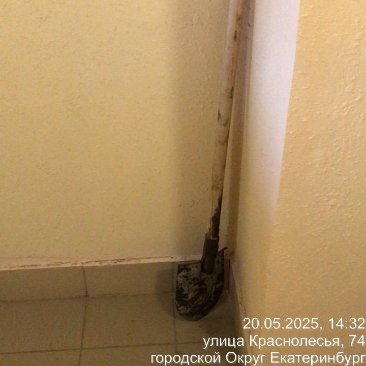WhatsApp Image 2025-05-21 at 09.02.51.jpeg
