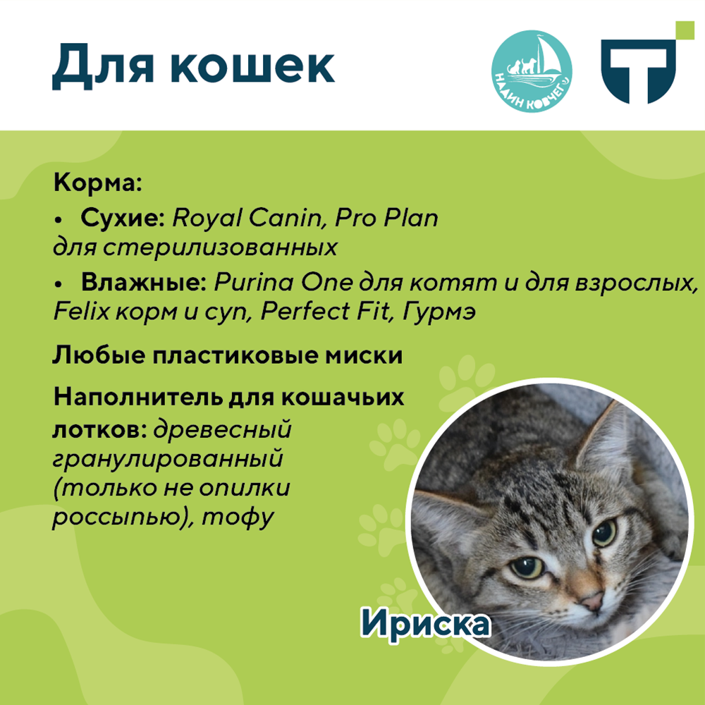 помощь приюту 3 (1).png